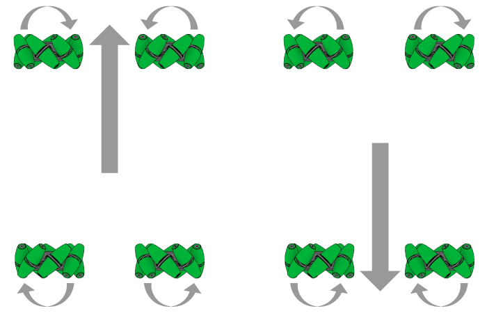 Diagrama, iliustruojanti V5 kategorijos komponentų surinkimo patarimus, pažymėtas dalis ir nuoseklias instrukcijas, kaip tinkamai surinkti.