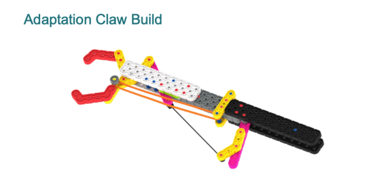 Diagram of a claw made out of GO pieces with the title Adaptation Claw Build.