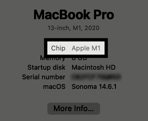 MacBook Pro 信息显示，2020 年款 13 英寸 M1 机型的“芯片 Apple M1”以红色突出显示。