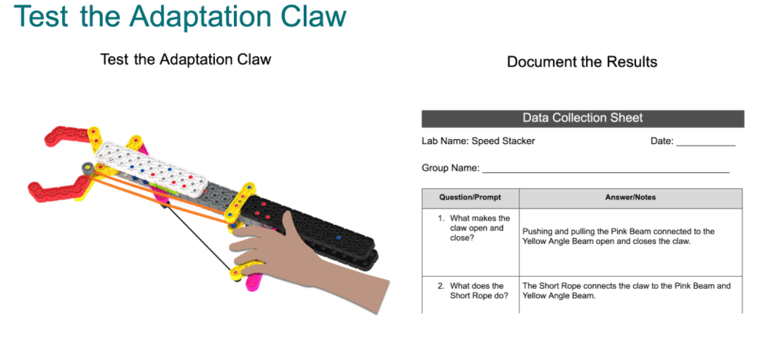 Promoting Active learning by exploring activities and using the Data Collection Sheet