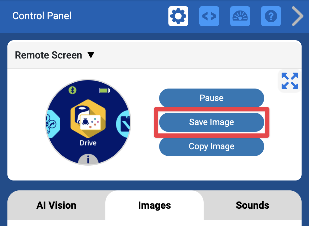 The same image as before, with the Save Image button, below the Pause button on the right hand side highlighted.