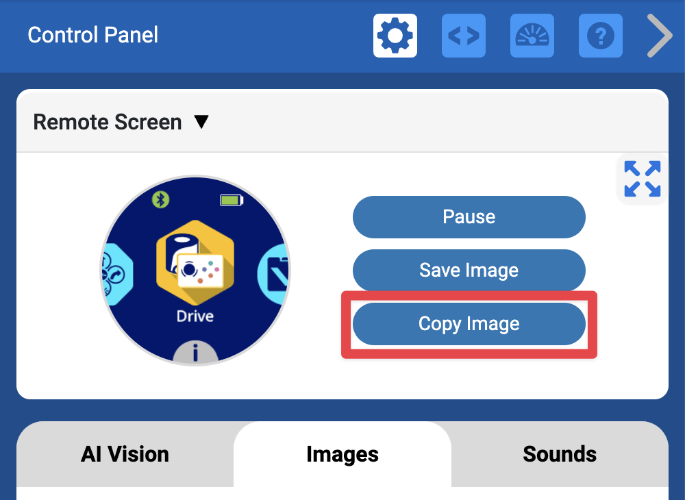รูปภาพเดียวกันกับภาพก่อนหน้า โดยมีปุ่ม Copy Image อยู่ใต้ปุ่ม Save Image ซึ่งเน้นไว้ทางด้านขวามือ
