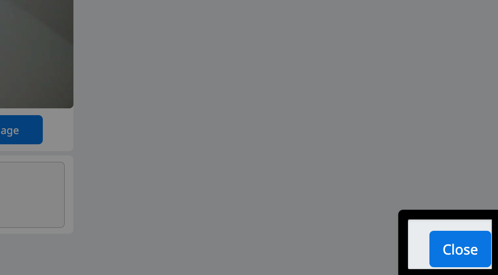 Close button in the lower right corner of the AI Vision Utility highlighted.