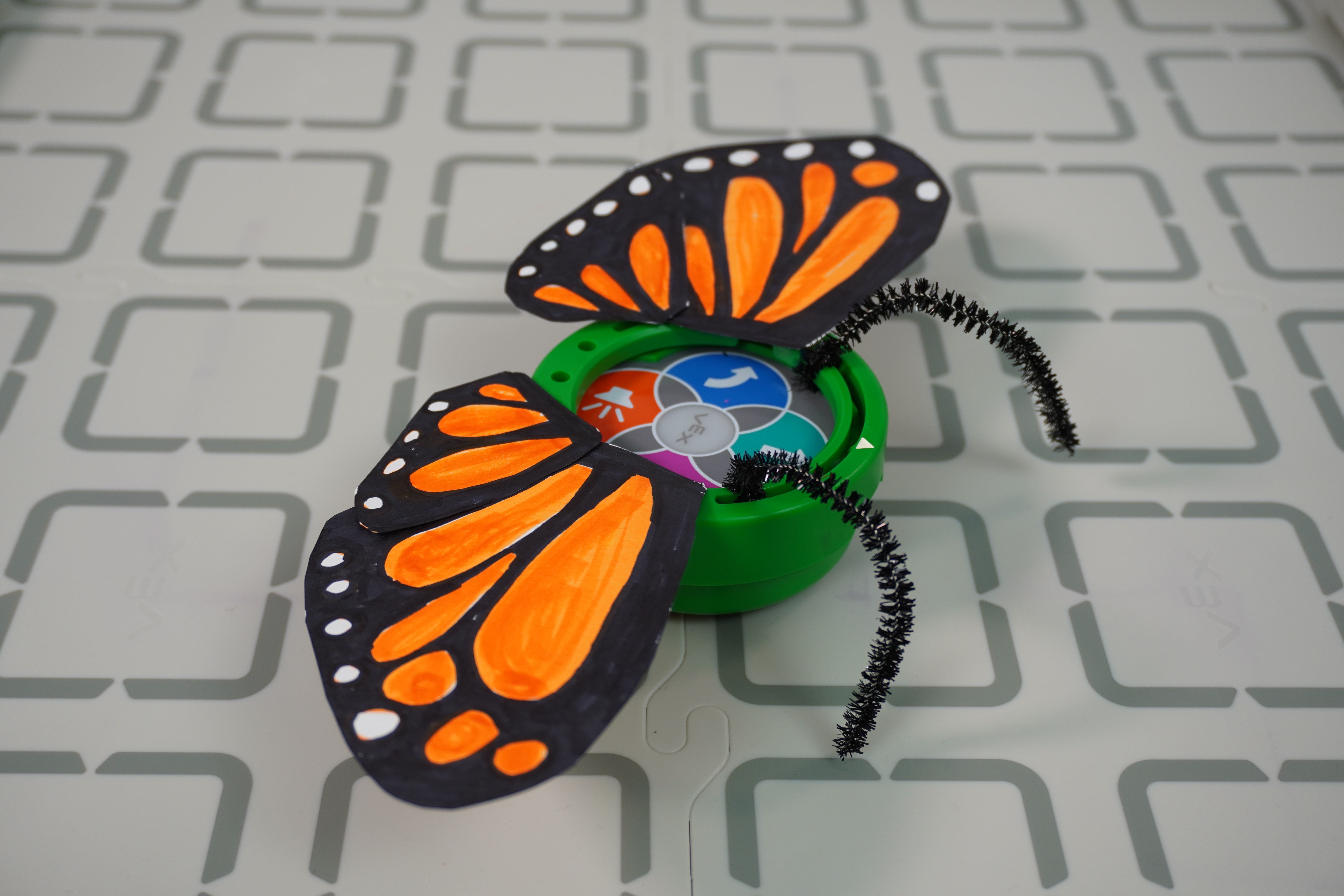 Vue latérale d'un exemple de conception d'insecte d'un papillon attaché à l'anneau d'art.