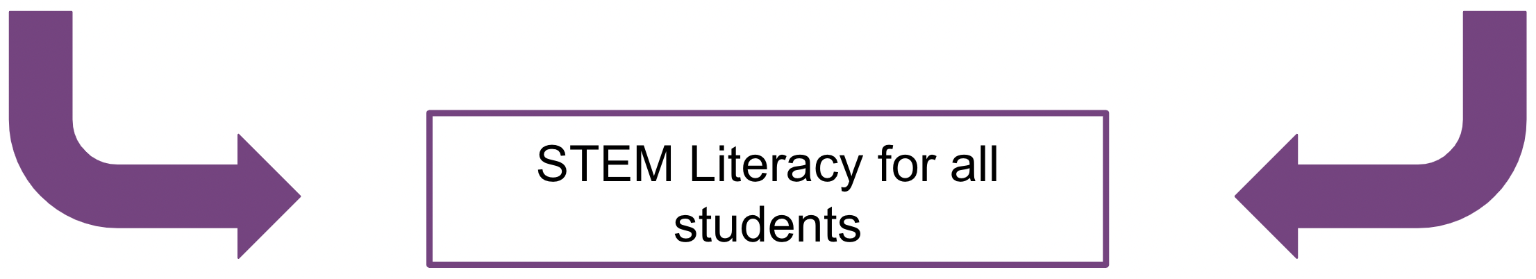 Lielas bultiņas, kas pievērš uzmanību frāzei “STEM Literacy for all students”.