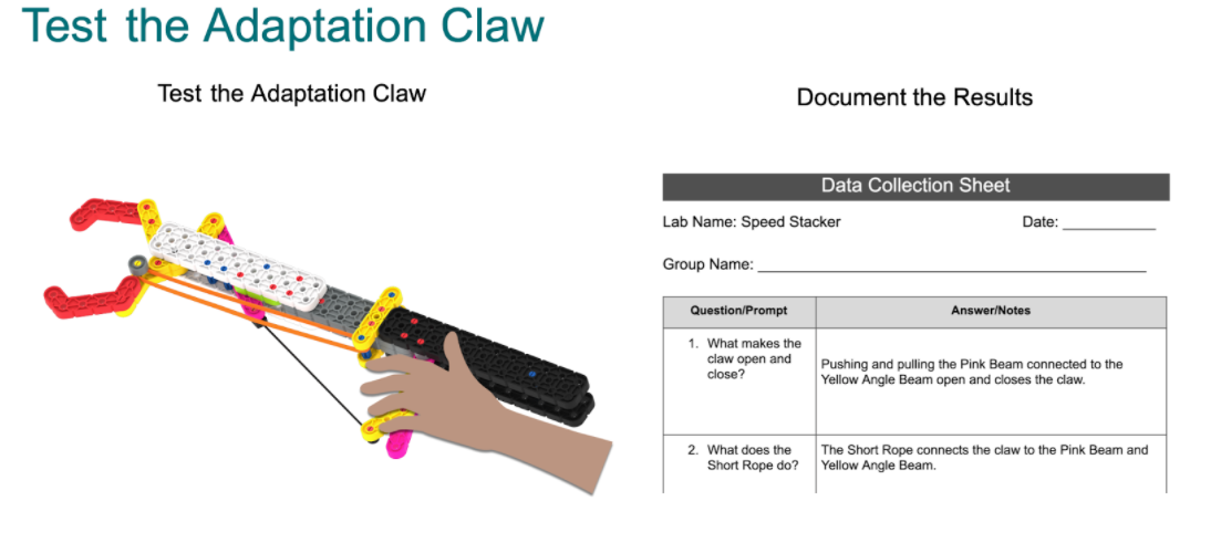 Captura de pantalla de una sección de un GO STEM Lab, con un diagrama titulado Test the Adaptation Claw junto a una hoja de trabajo Document the Results.