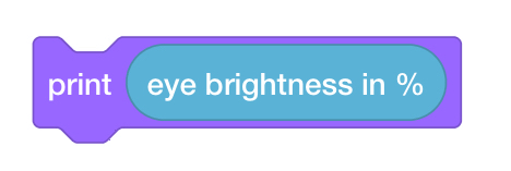 印刷パラメータ スロットに Brightness of reporter ブロックを含む VEXcode GO Print スタック ブロック。