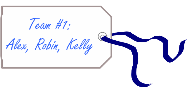 Przykładowa etykieta, którą można dołączyć do zestawu VEX IQ, aby ułatwić jego identyfikację i organizację. Na etykiecie widnieje napis Team 1: Alex, Robin, Kelly.