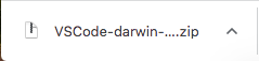 Die VS Code-ZIP-Datei wird in der Downloadliste des Browsers angezeigt.