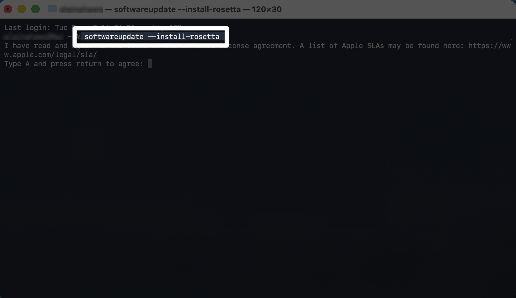 A Terminal window showing the command softwareupdate --install-rosetta highlighted.
