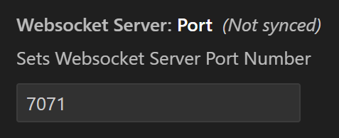 Websocket Server Portinmatning med exempelportnummer.