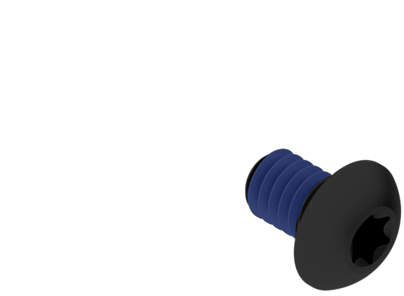 Small locking screw.