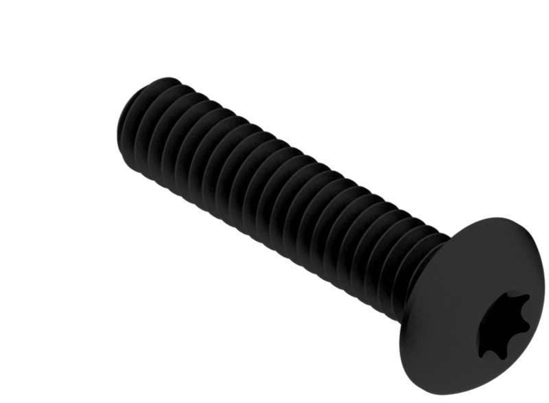 Large locking screw.