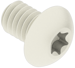 #8-32 x 1/4 inch Star Drive Screw.