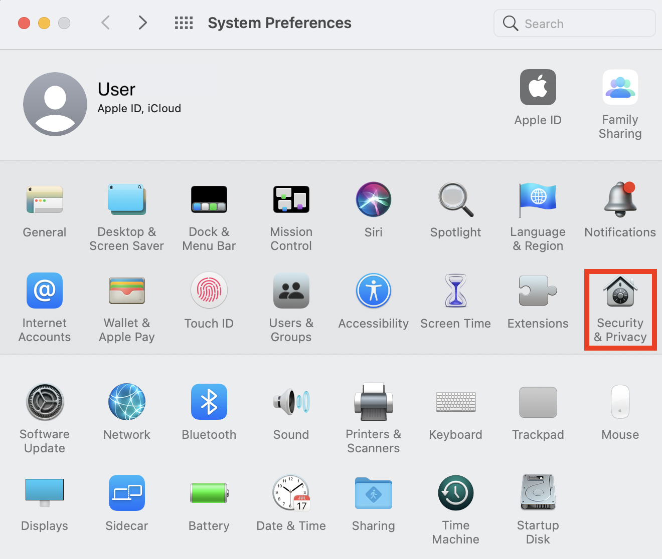Security and Privacy settings option in macOS System Preferences