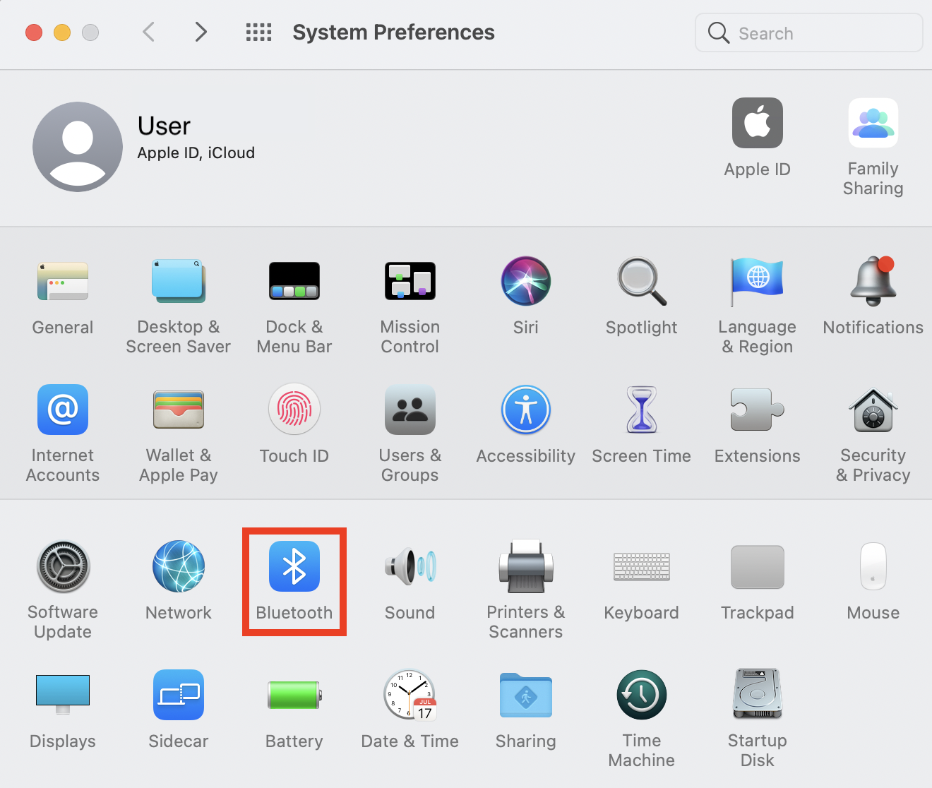 Bluetooth option highlighted in the System Preferences on macOS