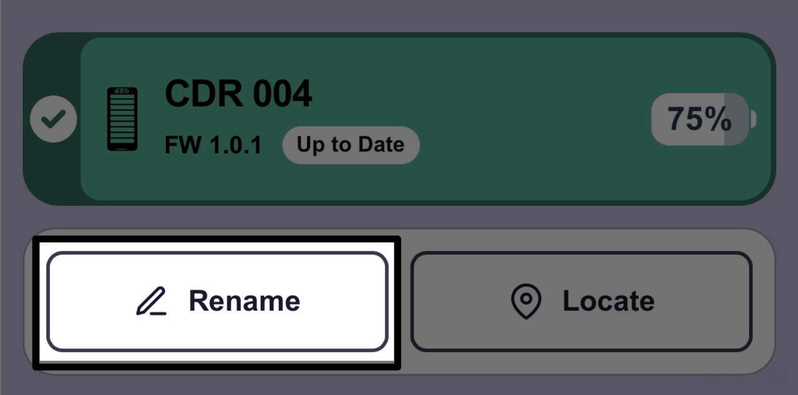 Coder number 4 selected with the rename button on the bottom left called out.